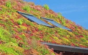 Stotfield living roof systems