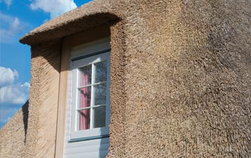 Stotfield thatch roof disadvantages
